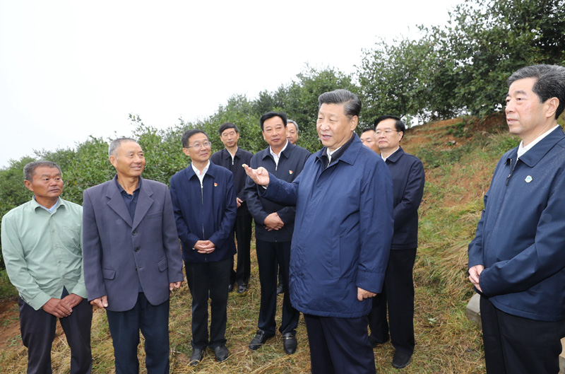 　　9月16日至18日，中共中央總書記、國(guó)家主席、中央軍委主席習(xí)近平在河南考察。這是17日上午，習(xí)近平來(lái)到信陽(yáng)市光山縣槐店鄉(xiāng)司馬光油茶園，同正在勞作的村民和管理人員交流。 新華社記者 鞠鵬 攝