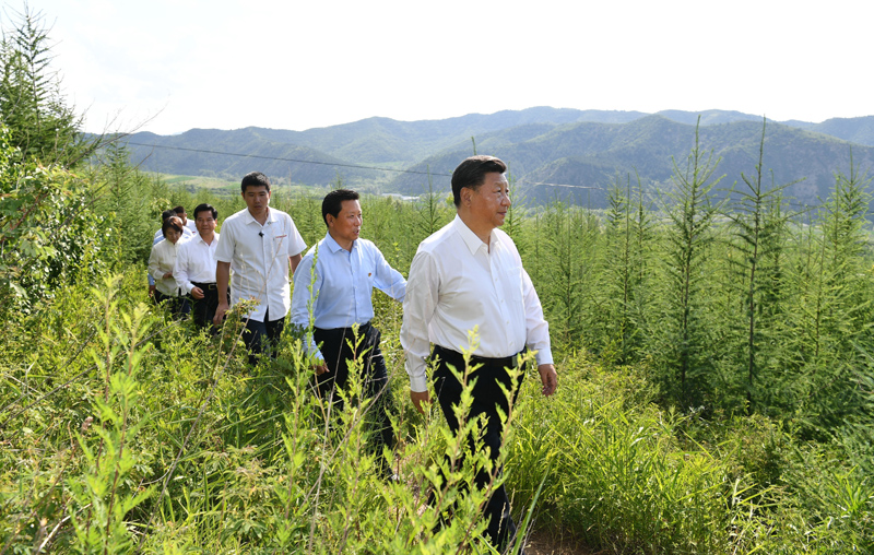 7月15日至16日，中共中央總書記、國家主席、中央軍委主席習(xí)近平在內(nèi)蒙古考察并指導(dǎo)開展“不忘初心、牢記使命”主題教育。這是15日下午，習(xí)近平在赤峰市喀喇沁旗馬鞍山林場林區(qū)，沿著崎嶇的護(hù)林小道察看林木長勢。